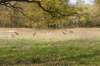 wlduinen_067_small.jpg