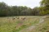 wlduinen_070_small.jpg