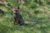 wlduinen_073_small.jpg