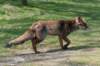 wlduinen_074_small.jpg