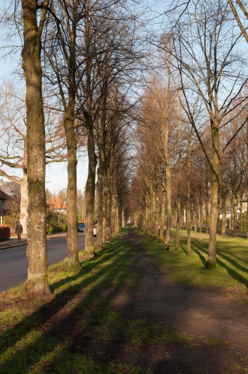 apeldoorn_001.jpg
