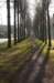 apeldoorn_003_small.jpg