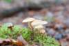 apeldoorn_008_small.jpg