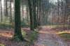 apeldoorn_010_small.jpg