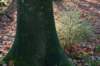 apeldoorn_011_small.jpg