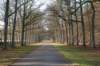 apeldoorn_012_small.jpg