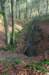 apeldoorn_014_small.jpg