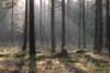 apeldoorn_016_small.jpg