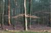 apeldoorn_017_small.jpg