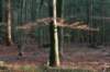 apeldoorn_019_small.jpg