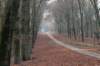 apeldoorn_020_small.jpg