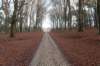 apeldoorn_021_small.jpg