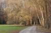 apeldoorn_023_small.jpg