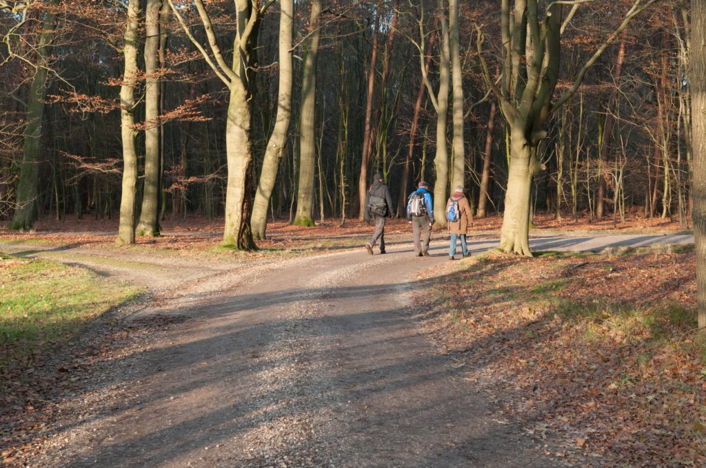 apeldoorn_025.jpg