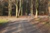 apeldoorn_025_small.jpg