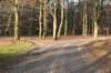 apeldoorn_026_small.jpg