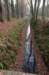 apeldoorn_028_small.jpg