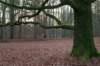 apeldoorn_030_small.jpg