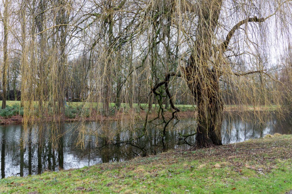 arnhemprrheden_001.jpg
