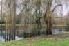 arnhemprrheden_001_small.jpg