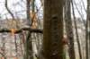 arnhemprrheden_002_small.jpg