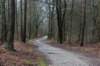 arnhemprrheden_004_small.jpg