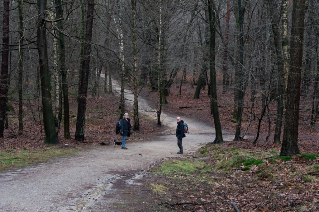 arnhemprrheden_005.jpg