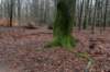 arnhemprrheden_006_small.jpg
