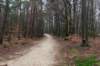 arnhemprrheden_008_small.jpg