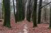 arnhemprrheden_010_small.jpg