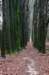 arnhemprrheden_011_small.jpg