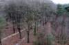 arnhemprrheden_014_small.jpg