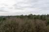 arnhemprrheden_016_small.jpg