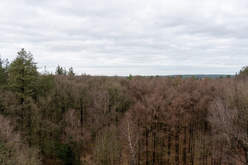 arnhemprrheden_017.jpg