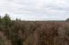 arnhemprrheden_017_small.jpg