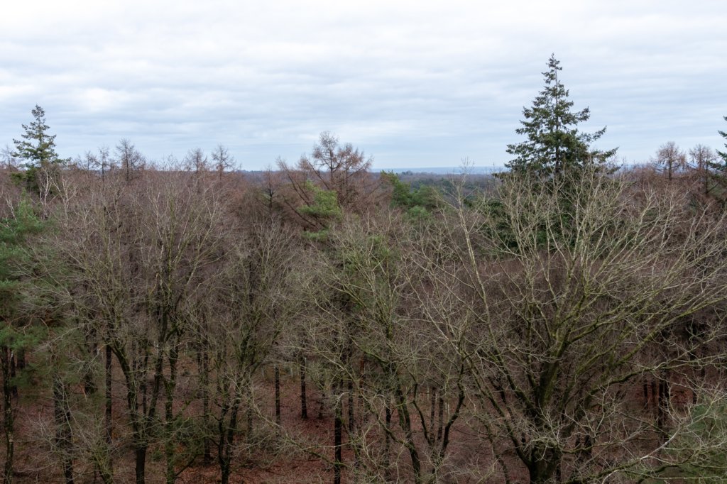 arnhemprrheden_019.jpg