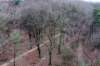 arnhemprrheden_020_small.jpg