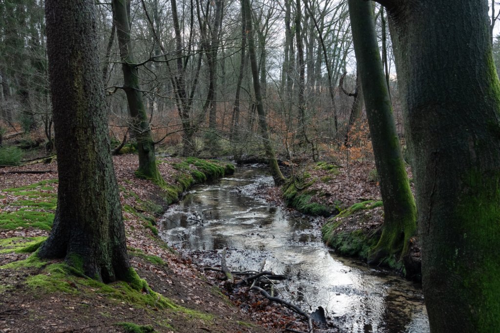 arnhemprrheden_024.jpg