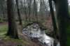 arnhemprrheden_024_small.jpg