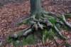 arnhemprrheden_025_small.jpg