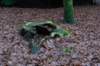 arnhemprrheden_026_small.jpg