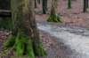 arnhemprrheden_027_small.jpg