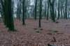arnhemprrheden_028_small.jpg