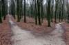 arnhemprrheden_029_small.jpg