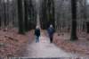 arnhemprrheden_030_small.jpg