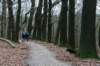 arnhemprrheden_031_small.jpg