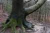 arnhemprrheden_033_small.jpg