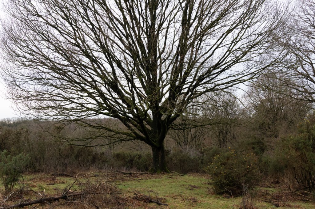 arnhemprrheden_034.jpg