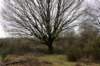 arnhemprrheden_034_small.jpg