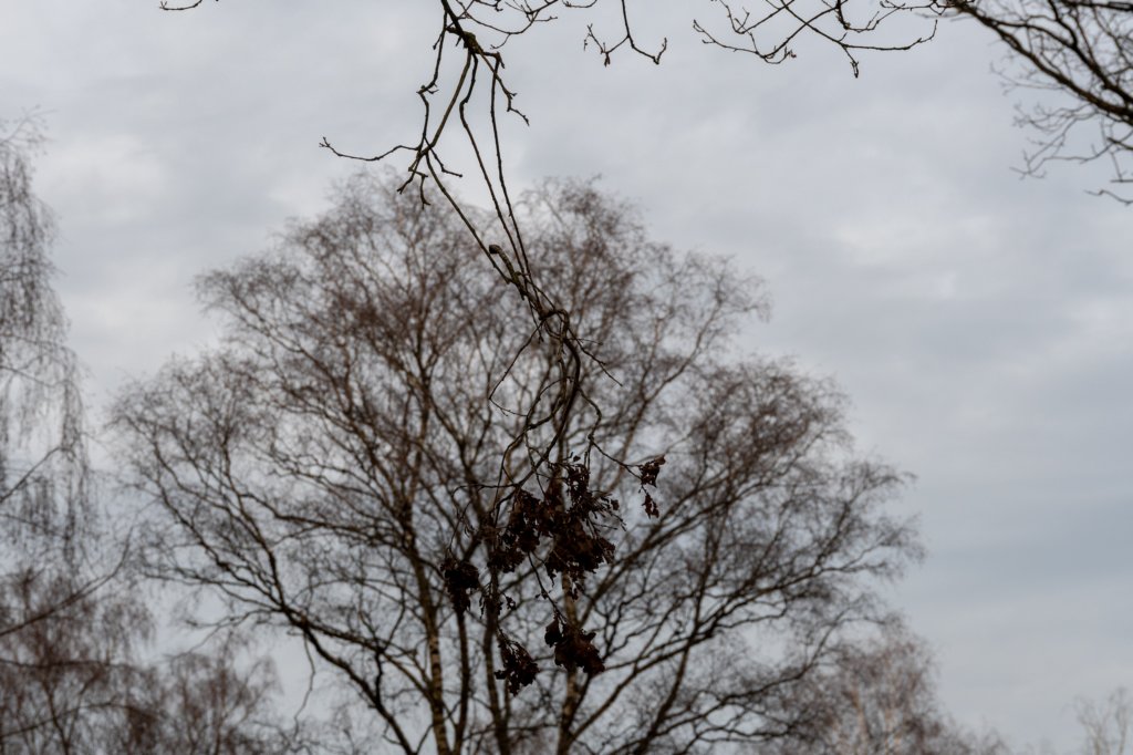 arnhemprrheden_035.jpg
